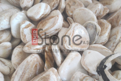 sari-beyaz-tambur-pebble-riviera-sunset-boulder-pebbles-supplier-turkey-maufacturer-creamcandy-marmor-felsen-riviera-kies-gerundet-getrommelt-lieferant-tuerkei-izmirstone